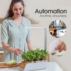 Jardín hidropónico inteligente MUCIAKIE | Sistema de cultivo interior LED 7 plantas