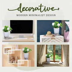 Maceta autoabsorbente con sistema de riego automático