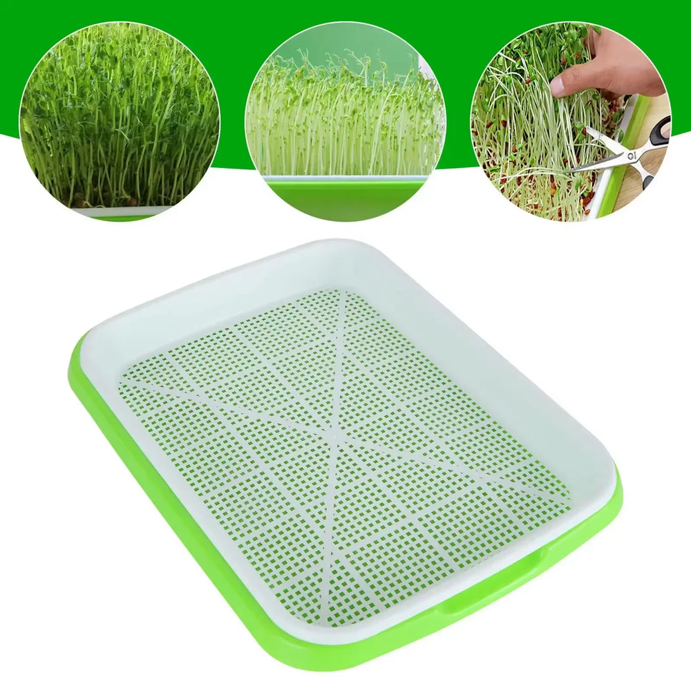 Bandeja hidropónica de doble capa para germinación de microgreens