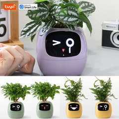 Macetero inteligente Ivy Tuya con sensores AI interactivos