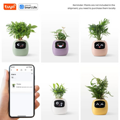Macetero inteligente Ivy Tuya con sensores AI interactivos