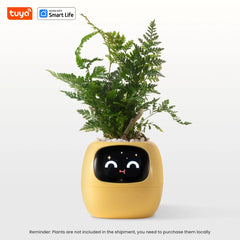 Macetero inteligente Ivy Tuya con sensores AI interactivos