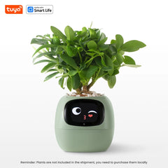 Macetero inteligente Ivy Tuya con sensores AI interactivos