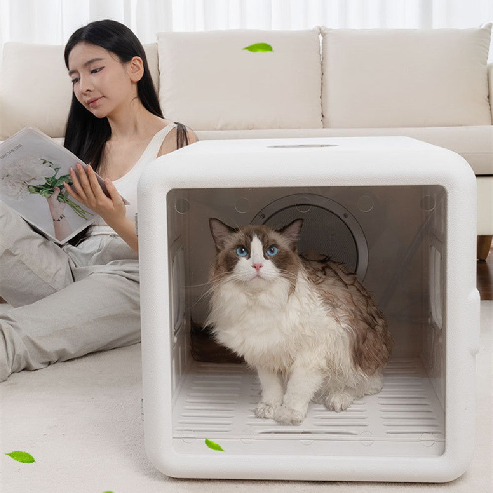Secador Automático para Gatos con Cabina Silenciosa 2000W