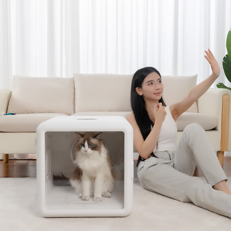 Secador Automático para Gatos con Cabina Silenciosa 2000W