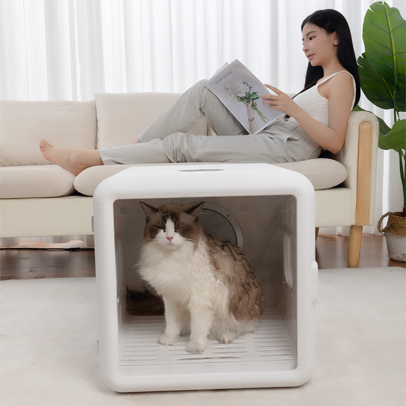 Secador Automático para Gatos con Cabina Silenciosa 2000W