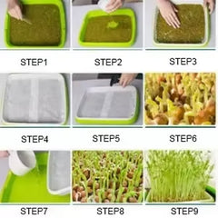 Bandeja hidropónica de doble capa para germinación de microgreens