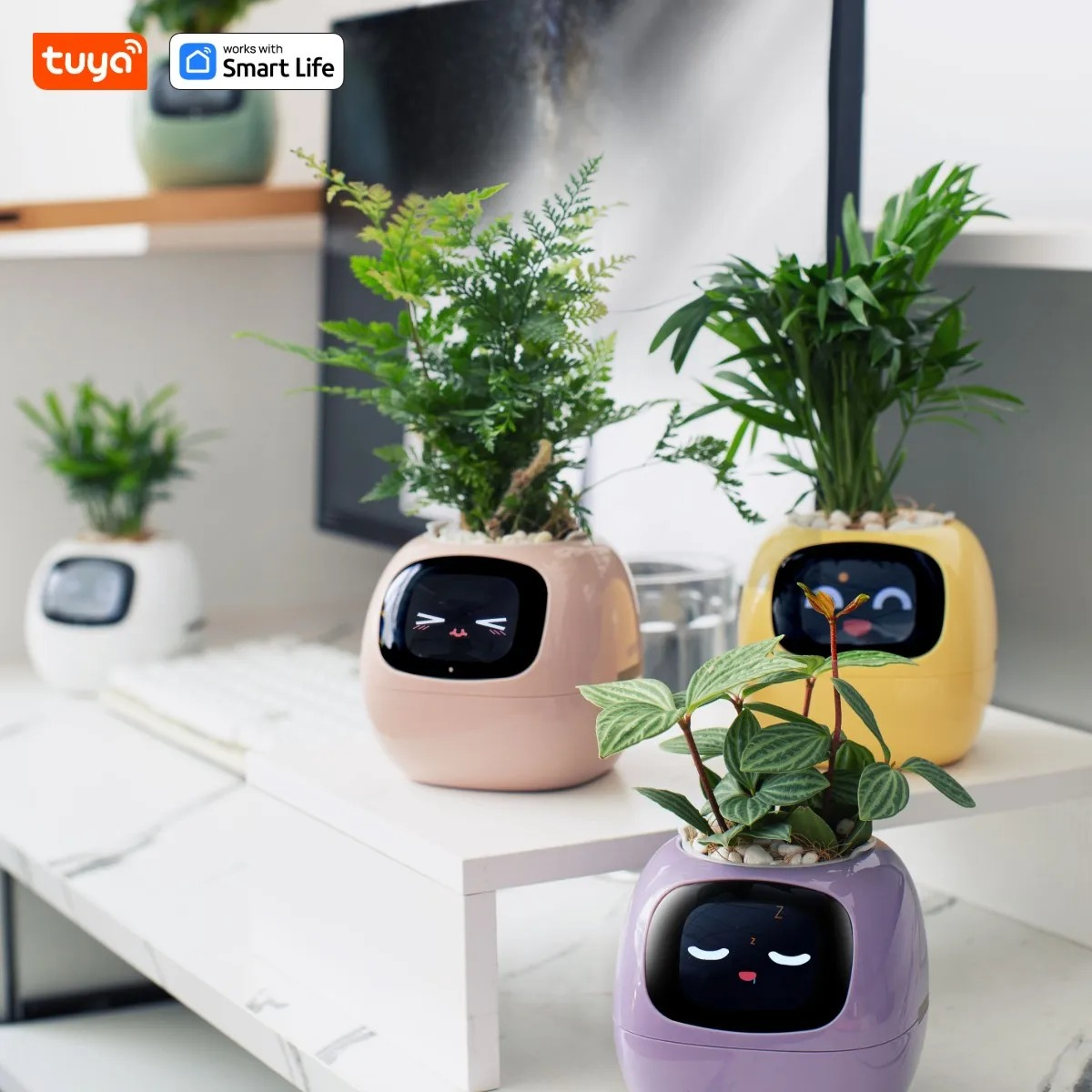 Macetero inteligente Ivy Tuya con sensores AI interactivos
