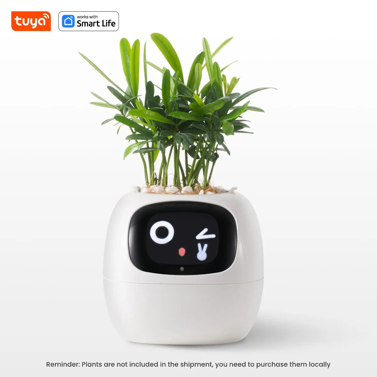 Macetero inteligente Ivy Tuya con sensores AI interactivos