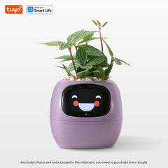 Macetero inteligente Ivy Tuya con sensores AI interactivos