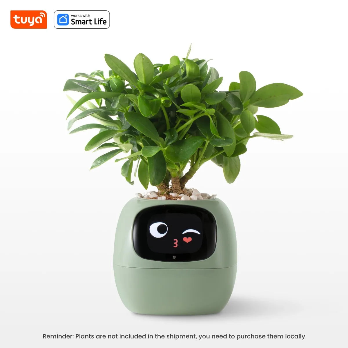Macetero inteligente Ivy Tuya con sensores AI interactivos