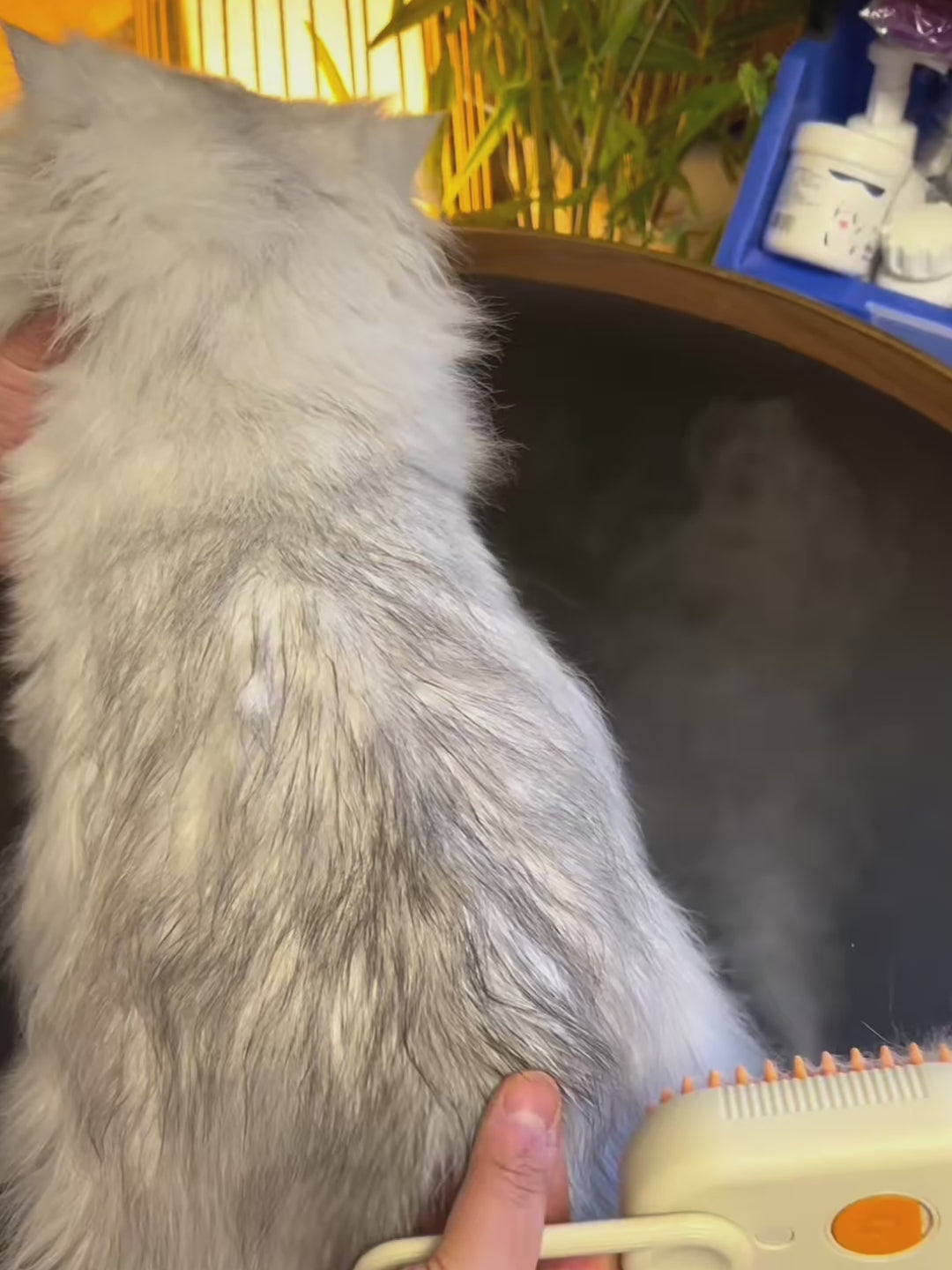 Cepillo eléctrico 3 en 1 con vapor para mascotas