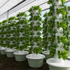 Indoor hydroponic system with multiple layers