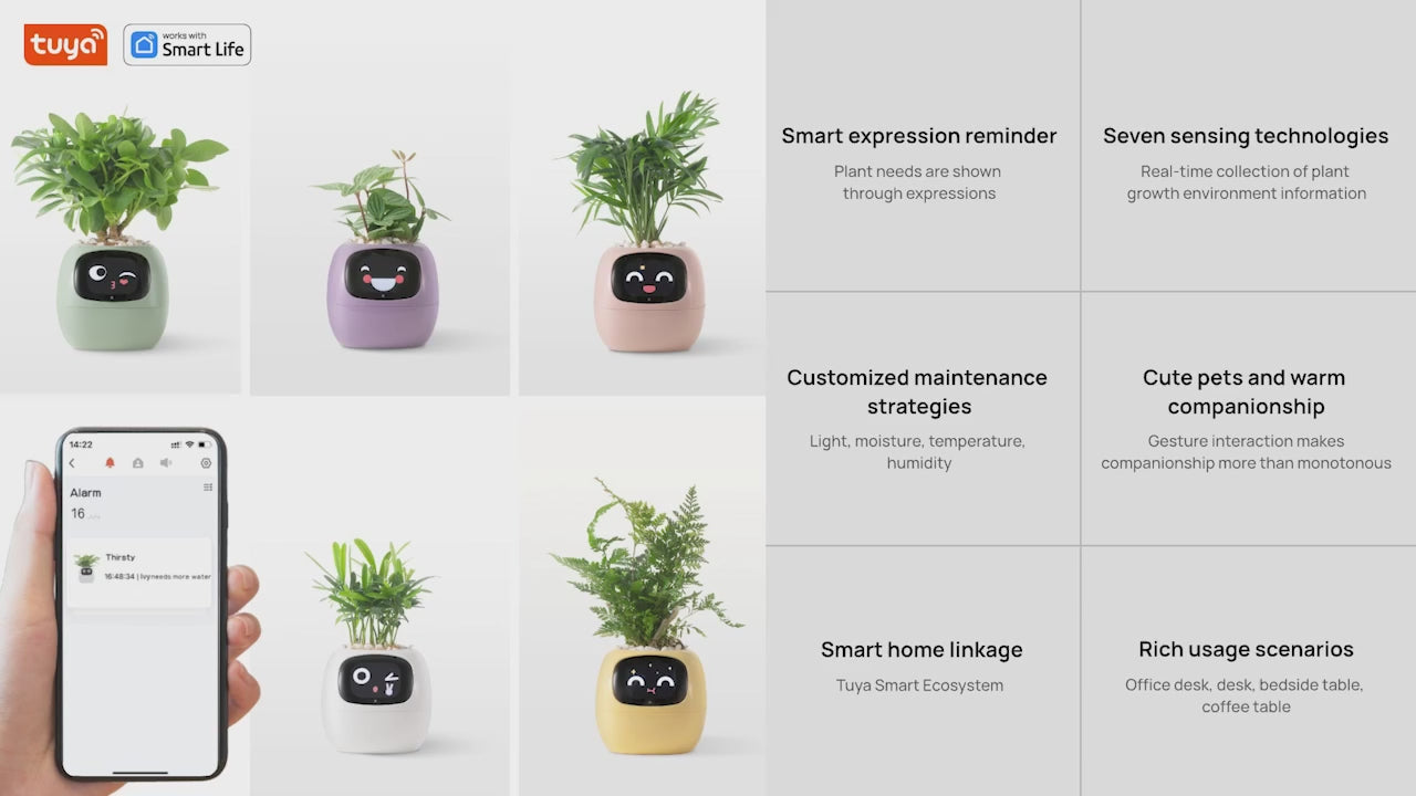 Macetero inteligente Ivy Tuya con sensores AI interactivos